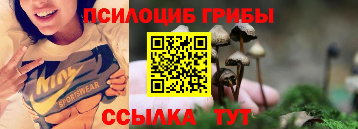 Полевской  купить  сайты  Псилоцибиновые грибы прущие грибы  Вход с VPN  Псилоцибиновые грибы Psilocybine cubensis 